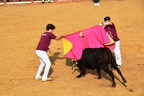 Feria y Fiestas Almadenejos (Vaquilla del Sábado) 2026